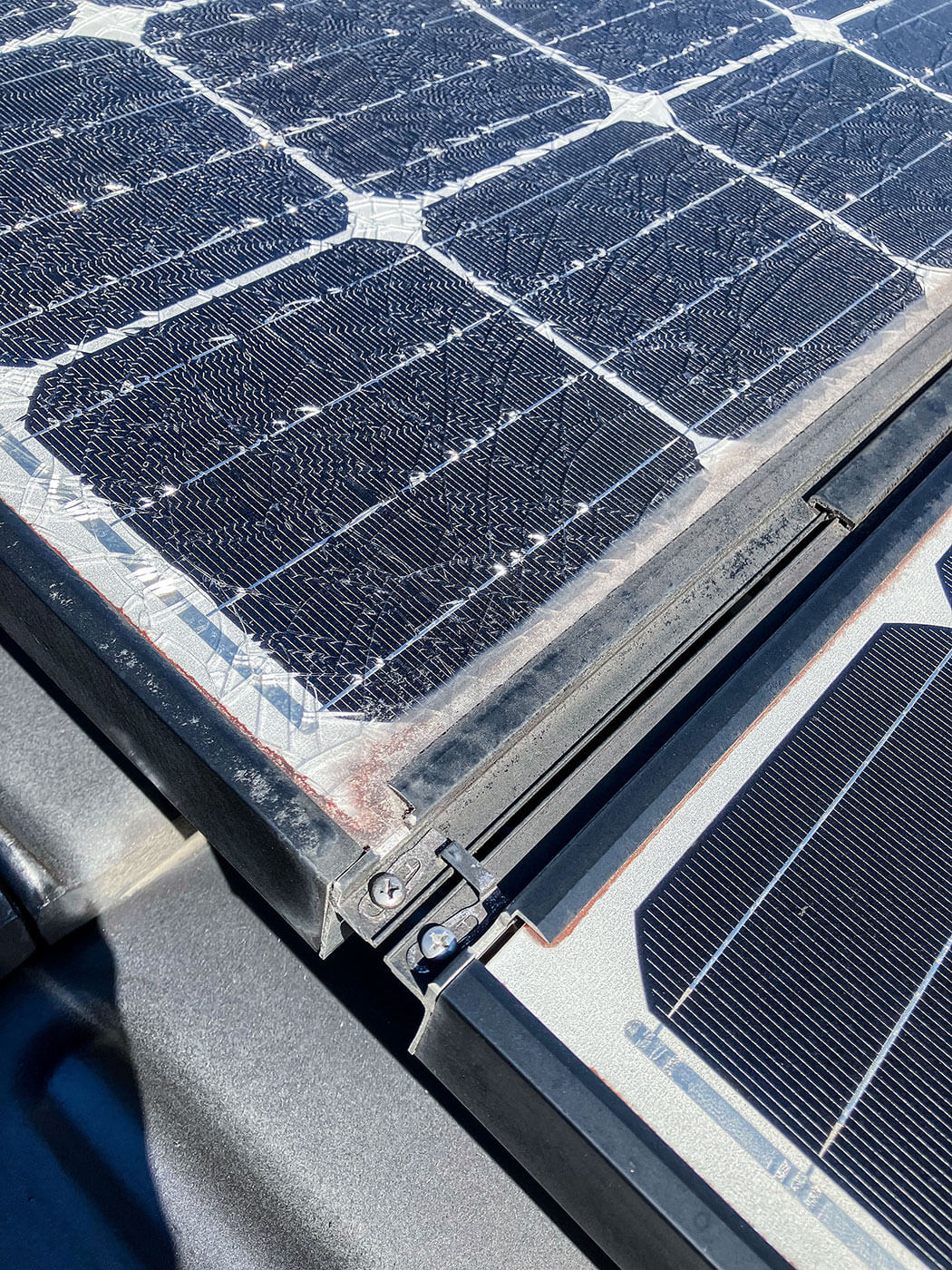 セルバックシートイメージ