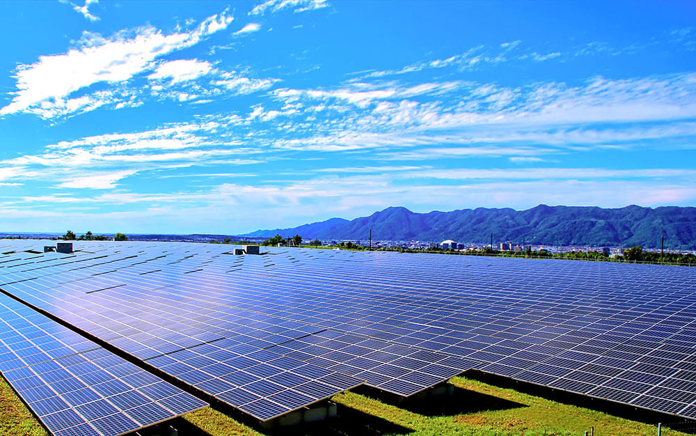 セルバックシートイメージ